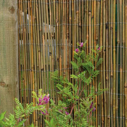 Bamboo Trellis