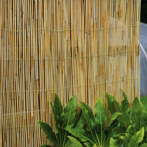 Bamboo Trellis