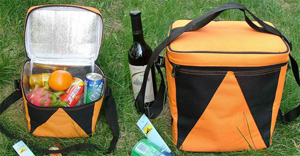 Can Cooler Bag